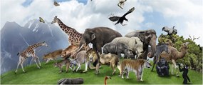 Kép - állatok a szigeten (120x50 cm)
