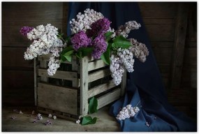 Poszterek 120x80 Doboz nélkül