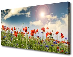 Vászonkép Sun mezei virágok Természet 120x60 cm