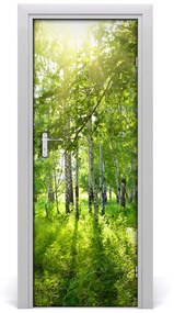 Poszter tapéta ajtóra nyírfa erdő 75x205 cm
