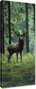 Vászonkép 40x100 Szarvas az erdő közepén