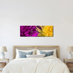 Kép - virág részlet (órával) (90x30 cm)