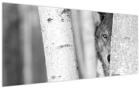 Kép - Farkas az erdőben (120x50 cm)