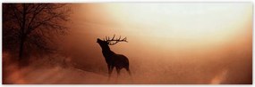 Poszterek 200x66 Szarvas az erdő szélén