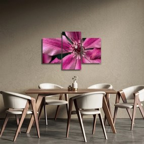Rózsaszín flamingóvirág képe (90x60 cm)