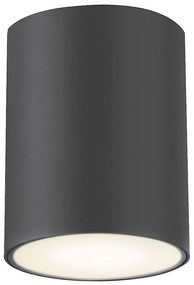 Rabalux 7819 - Kültéri spotlámpa ZOMBOR 1xGU10/35W/230V kerek IP54