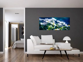 Százszorszépek képe (120x50 cm)