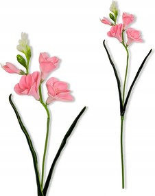 Frézia Rózsaszín Ág Frézia 59 cm Habszivacs virágok vázába Élő