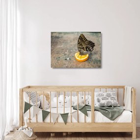 Pillangó képe (üvegen) (70x50 cm)
