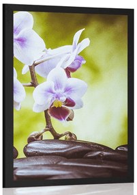 Poszter zen kövek és orchidea