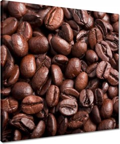 Vászonkép 50x50 Kávébab