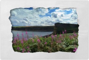 Poszterek 120x80 Lila virágok