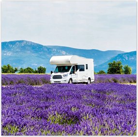 Poszterek 140x140 Lakókocsi a levendulamezők között