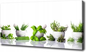 Fotótapéta nappaliba Gyógynövények 100x70 cm