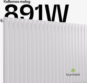 Blumfeldt Delgado radiátor | Modern kivitel | 63 x 100 cm | 891 W | Oldalsó csatlakozás