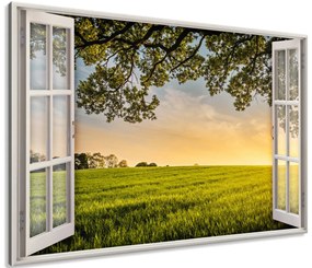 Gario Vászonkép Nyitott ablak Virágzó mezo Méretek: 120 x 80 cm