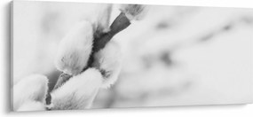 Kép - A tavasz kezdete (120x50 cm)
