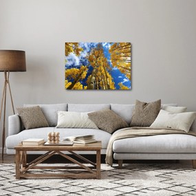 Kép - Aspen (70x50 cm)