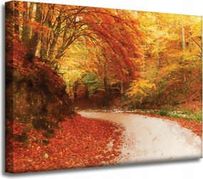 Vászonkép Ösvény az őszi erdőben Színes levelek 40x30 cm
