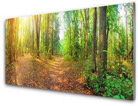 Akrilkép Természet Erdei fák 120x60 cm