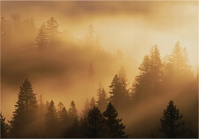 Fotótapéta Erdő A Ködben Bézs 3D Hálószoba Nappali Tapéta Flizelina 150x105