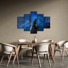 Kép - Koronás galamb (150x105 cm)