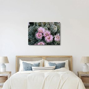 Kaktusz virágának képe (70x50 cm)