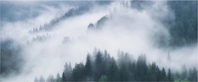 Kép - Fák a ködben (120x50 cm)