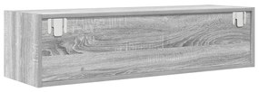 TV Szekrény Szürke Sonoma 100x31x25,5 cm Szerelt Fa