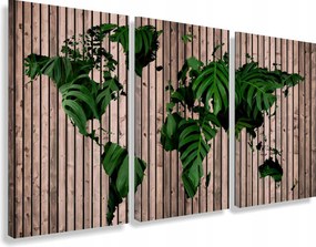 Falikép triptichon a nappaliba térkép fa levelek monstera 90X180cm