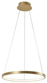 Leuchten Direkt 11522-12 - LED Csillár zsinóron CIRCLE LED/19W/230V