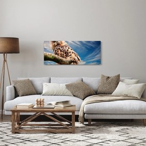 Kép - Bagoly (120x50 cm)