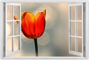 Poszterek 120x80 Narancssárga tulipán