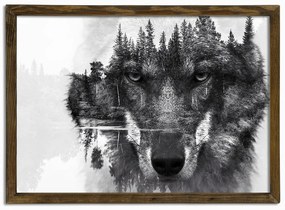 Husky fali kép, 70 x 50 cm