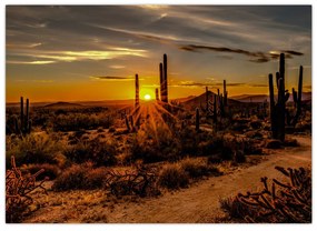 Kép - A nap vége az arizonai sivatagban (üvegen) (70x50 cm)