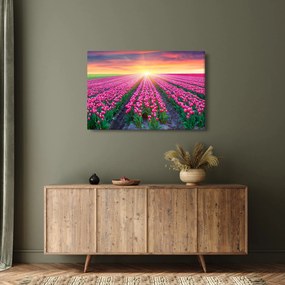 Tulipán mező és a nap képe (90x60 cm)