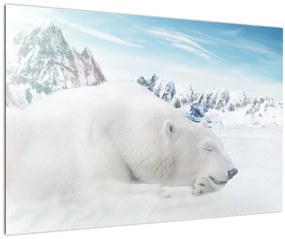 Kép - Jegesmedve (90x60 cm)