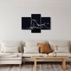 Kép - Ló és a víz (90x60 cm)