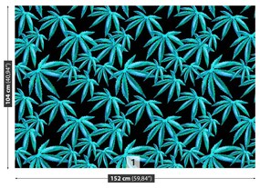 Fotótapéta cannabis levél 104x70 cm