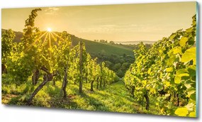 Fotótapéta üvegfalra Kék lagúna 125x50