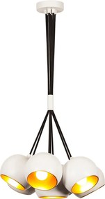 Sivani - MR-628