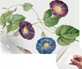 Fali fotótapéta Hálószoba Nappali Virágos elegancia 152x104 cm