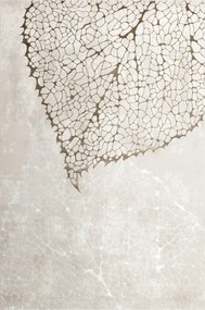 Szőnyeg Bézs Krém Barna Fényes Puha Sűrű Levelek A Nappaliba Factor 160x230 cm