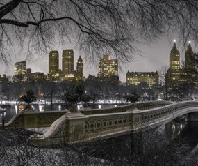 Poszter 60x50cm Központi park Manhattan panorámával, Assaf Frank