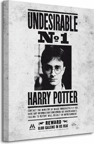 Harry Pottert keresik Vászonkép 40x50