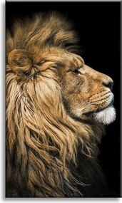 Vászonkép Oroszlán portré Oldal Vadság Természet 50x70 cm