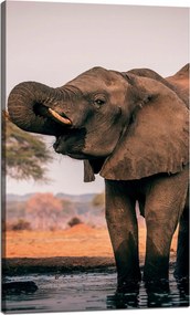 Vászonkép Elefántok a vízben Afrika Természet 60x100 cm Ideális ajándék