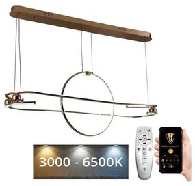 NEDES LED dimmelhető csillár zsinóron LED/95W/230V 3000-6500K + távirányítás ND3714