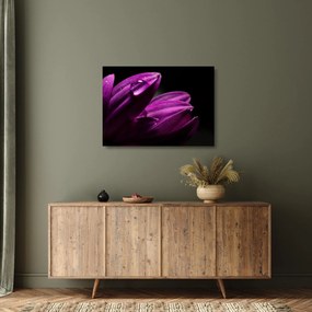 Kép - Vízcsepp (üvegen) (70x50 cm)