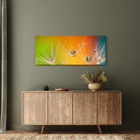 Cseppek a növényen képe (120x50 cm)